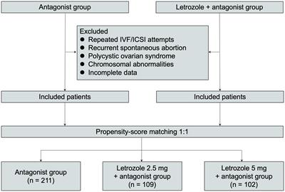 Impact of 2.5 mg versus 5 mg letrozole co-treatment in an antagonist protocol for IVF: a retrospective study